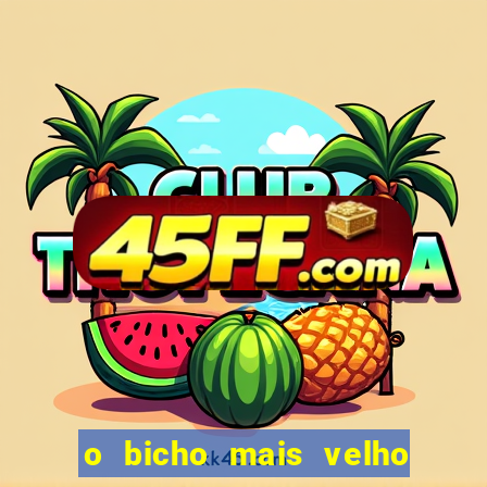 o bicho mais velho da loteria dos sonhos